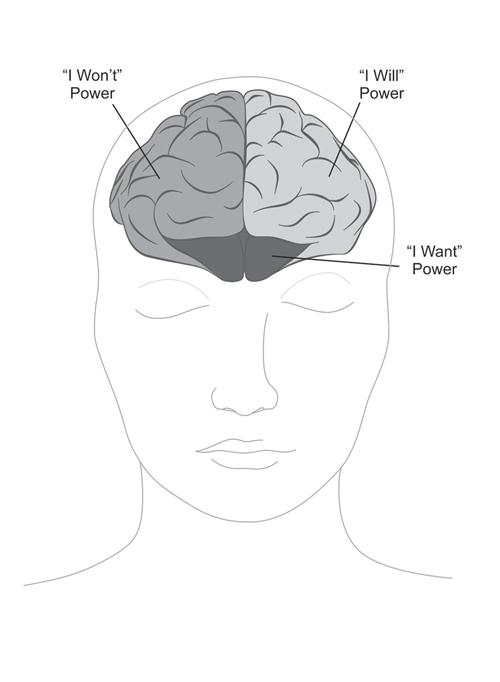 Will power areas of the brain